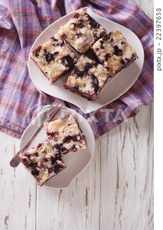 Sponge cake with blueberries close-up Sponge cake with blueberries close-up 22397658