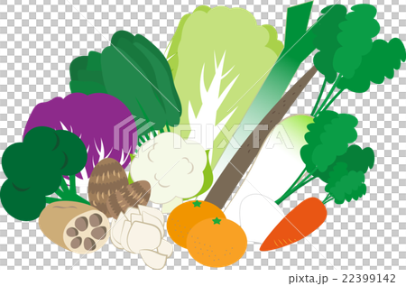 冬の野菜 冬の野菜 22399142