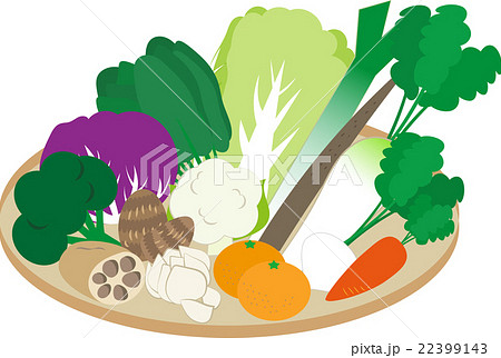 冬の野菜 冬の野菜 22399143
