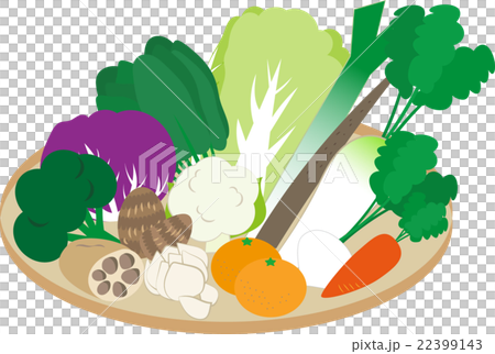 冬の野菜 冬の野菜 22399143