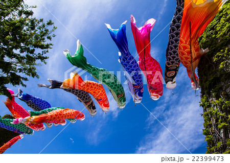 鯉のぼり2 鯉のぼり2 22399473