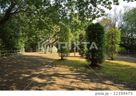 見沼田圃:磐船祭祭祀遺跡 見沼田圃:磐船祭祭祀遺跡 22399475