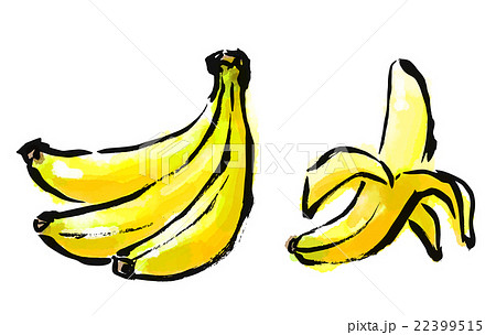 筆描き　野菜　果物 22399515