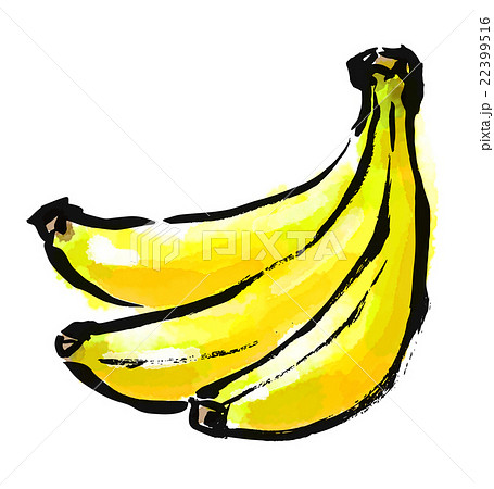 筆描き　野菜　果物 22399516