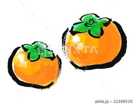 筆描き 野菜 果物 かきのイラスト素材 22399520 Pixta