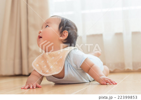 10 months old 10 months old 22399853