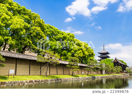 京都　世界遺産　東寺 22399876