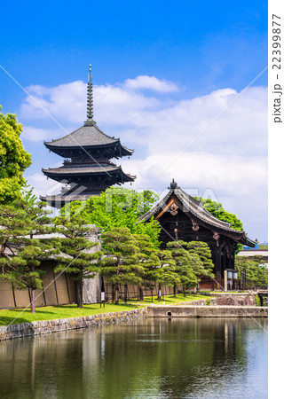 京都　世界遺産　東寺 22399877