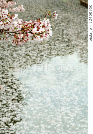 見沼田圃：見沼代用水東縁　緑区南部領辻にて 22400950