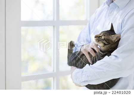 猫を抱く男性の写真素材