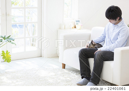 ソファに座って猫を撫でる男性の写真素材