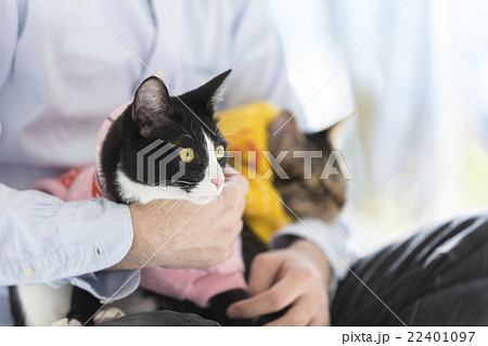 猫を抱く男性の写真素材