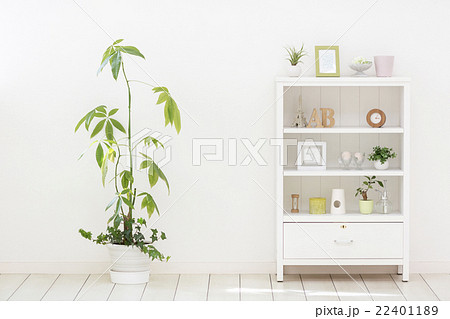 観葉植物と飾り棚のイメージの写真素材