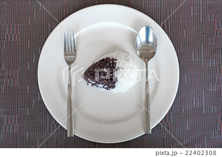 cooked rice on white plate 22402308