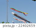 鯉のぼり 22402659