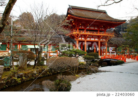 上賀茂神社 上賀茂神社 22403060