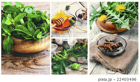 Useful herbs 22403496