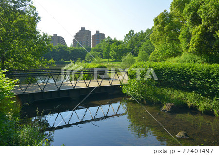 徳生公園 22403497