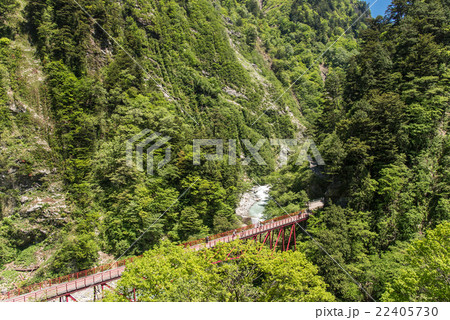 黒部峡谷鉄道　新緑の黒部峡谷　欅平駅からの眺め 22405730
