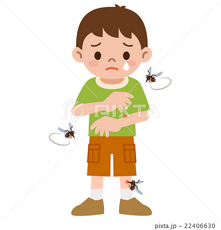 蚊に刺された男の子 22406630