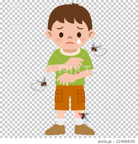 蚊に刺された男の子 22406630