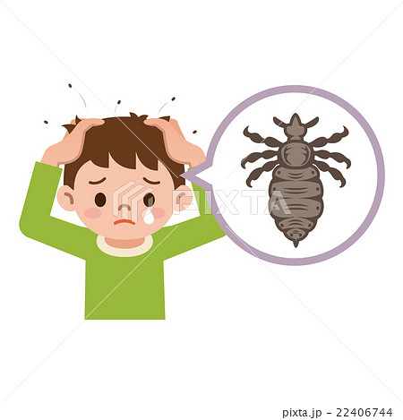 しらみが寄生した男の子 しらみが寄生した男の子 22406744