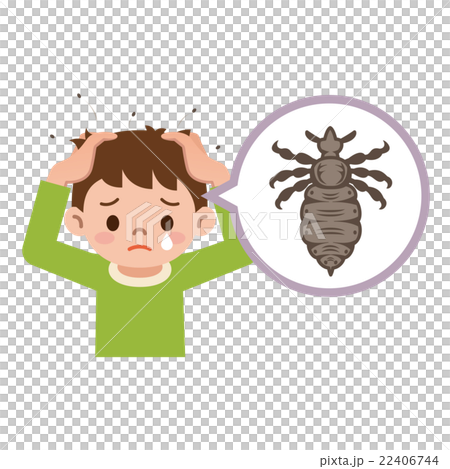 しらみが寄生した男の子 しらみが寄生した男の子 22406744