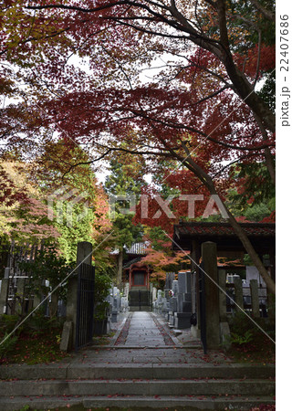 東福寺塔頭 最勝金剛院 東福寺塔頭 最勝金剛院 22407686
