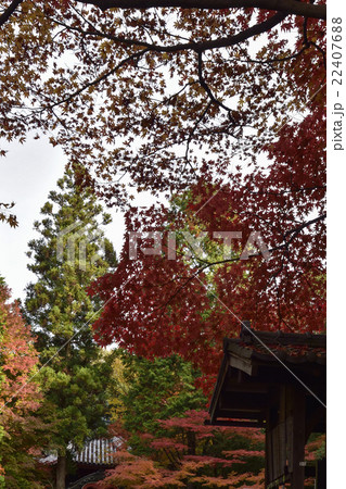 東福寺塔頭　最勝金剛院 22407688