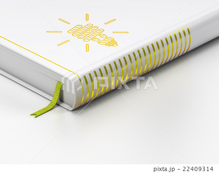 Finance concept: closed book, Energy Saving Lamp 22409314