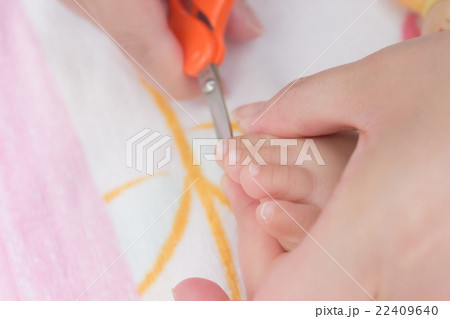 8 months old 8 months old 22409640