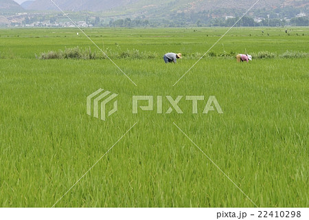 農村風景（沙渓）　 22410298