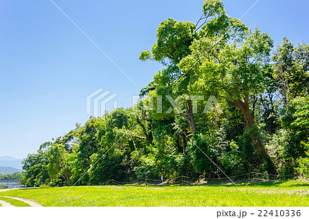 特別史跡水城跡 22410336