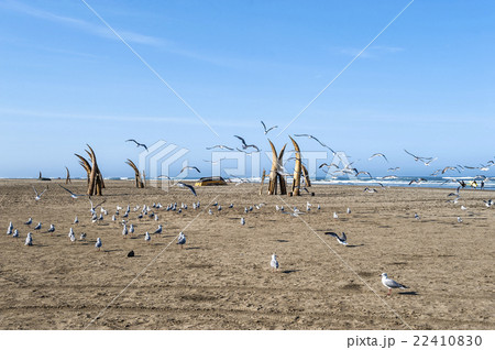 Traditional Peruvian small Reed Boats Traditional Peruvian small Reed Boats 22410830