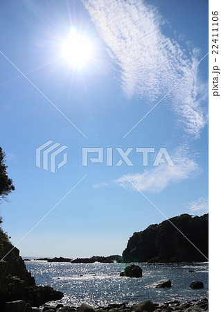 足摺白山洞門付近の海岸 22411106