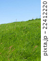 青空と土手のコピースペース1 青空と土手のコピースペース1 22412220