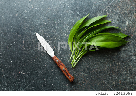 Fresh ramsons leaves. 22413968