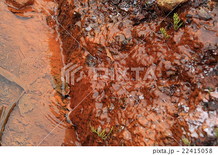 赤い湧き水アップ 22415058