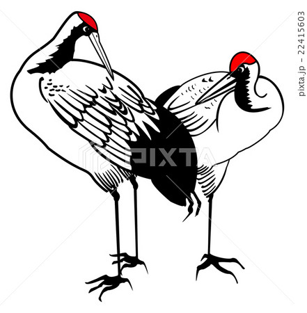 スパティフィラム ハート形 ハートシェイプ 22415603