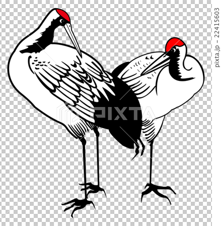 スパティフィラム ハート形 ハートシェイプ 22415603