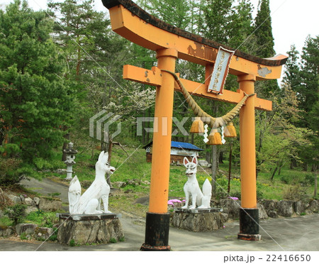 菅生稲荷神社(岐阜県飛騨市古川町) 菅生稲荷神社(岐阜県飛騨市古川町) 22416650
