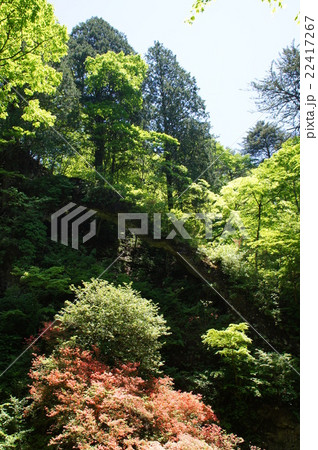 鞍掛岩 鞍掛岩 22417267