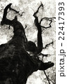大きな木 22417393