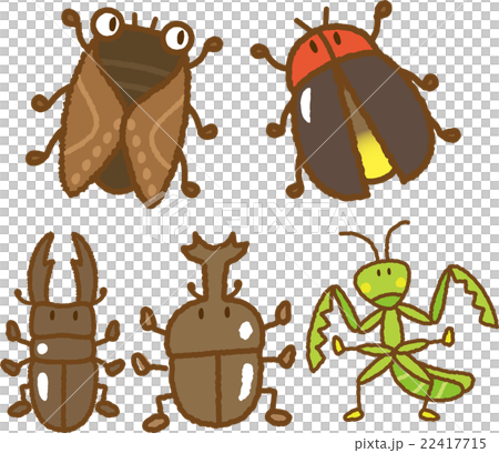 Insect illustration material set 22417715