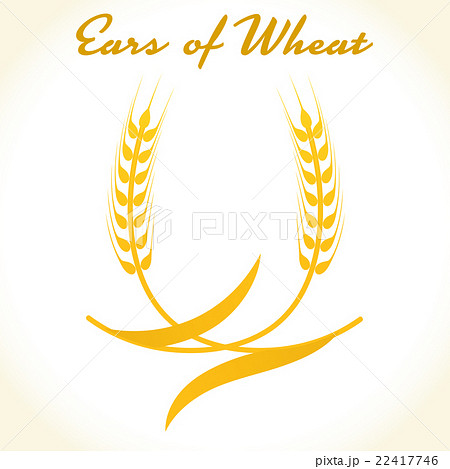 Wheat ears or rice icon. 22417746