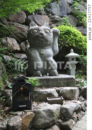 徳島県阿南市 加茂町 お松大権現 徳島県阿南市 加茂町 お松大権現 22417757