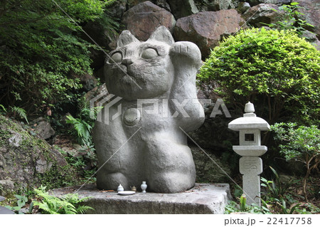 徳島県阿南市 加茂町 お松大権現 徳島県阿南市 加茂町 お松大権現 22417758