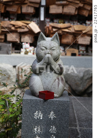 徳島県阿南市 加茂町 お松大権現 徳島県阿南市 加茂町 お松大権現 22417765