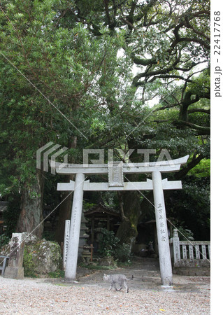 徳島県阿南市 加茂町 お松大権現 徳島県阿南市 加茂町 お松大権現 22417768