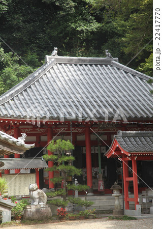 徳島県阿南市　加茂町　 お松大権現 22417770